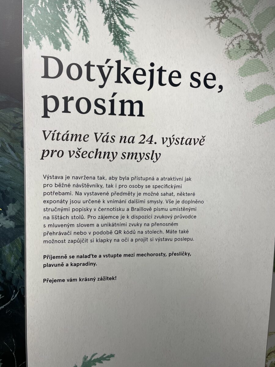 Výstava "Z mechu a&nbsp;kapradí"